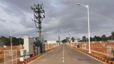 Project Image of 1200.0 - 4000.0 Sq.ft Residential Plot Plot for buy in Ascent County