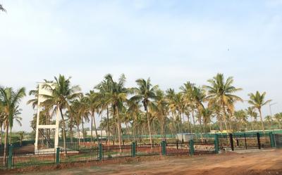 Project Image of 1099.96 - 5539.97 Sq.ft Residential Plot Plot for buy in Confident Platinum Phase 3