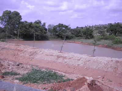 Project Image of 5000.0 - 6000.0 Sq.ft Residential Plot Plot for buy in Greater Farm Casa