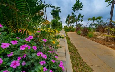 Project Image of 1200.0 - 5400.0 Sq.ft Residential Plot Plot for buy in SPA Eco City