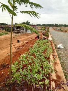 Project Image of 1200.0 - 3999.0 Sq.ft Residential Plot Plot for buy in Excel Oxygen