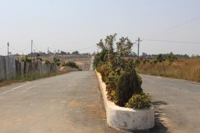 Project Image of 1200.0 - 5000.0 Sq.ft Residential Plot Plot for buy in AVS De Flora