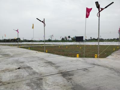Project Image of 833.0 - 1802.0 Sq.ft Residential Plot Plot for buy in Sri Vetrivel Nagar