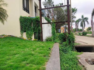 Project Images