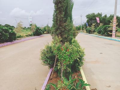 Project Image of 1503.0 - 3537.0 Sq.ft Residential Plot Plot for buy in Laxmi Vihar