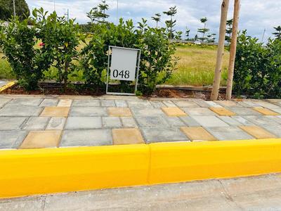 Project Image of 1300.0 - 12916.69 Sq.ft Residential Plot Plot for buy in Annciya Isha Serene