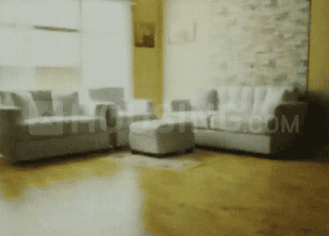 Tejaswi Harmony Living Area 1