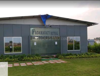Project Image of 0.0 - 320.0 Sq.ft 1 BHK Apartment for buy in Padamavati Royal Phase 2