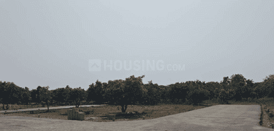 Project Images