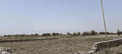 Project Image of 452.84 - 2624.56 Sq.ft Residential Plot Plot for buy in Mango Padam Vihar