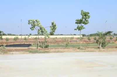 Project Image of 1237.53 - 1612.97 Sq.ft Residential Plot Plot for buy in Soha Olive Town