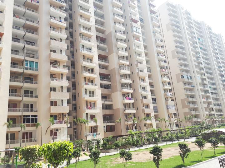 ACE Group Platinum Zeta 1 - Image 3