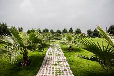 Project Image of 0.0 - 1405.34 Sq.ft Residential Plot Plot for buy in Wallfort Parkview phase 1