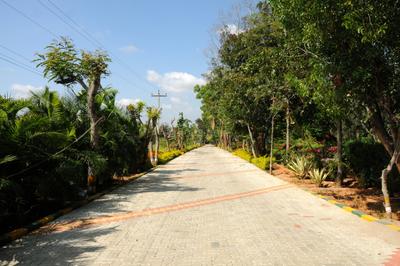Project Image of 0.0 - 1753.0 Sq.ft 3 BHK Villa for buy in Bizpro Golden Mile Villa