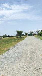Project Image of 103.0 - 4000.0 Sq.ft Residential Plot Plot for buy in I5 CK Madhavan Nagar
