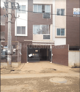 DS Max DSMAX SPLASH Elevation 1