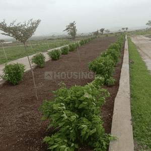 Project Images