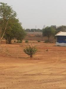 Project Image of 540.0 - 5976.0 Sq.ft Residential Plot Plot for buy in Sark Green Plains