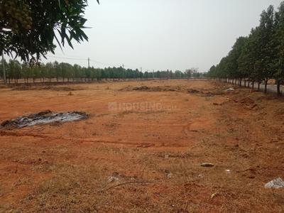Project Image of 1620.0 - 1800.0 Sq.ft Residential Plot Plot for buy in Lighthouse Pharma Green City