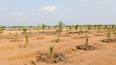 Project Image of 5445.0 - 9000.0 Sq.ft Residential Plot Plot for buy in DVV Elvarthy