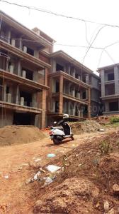 Project Image of 502.0 - 1226.0 Sq.ft 1 BHK Apartment for buy in Calm Acasia Greens Socorro