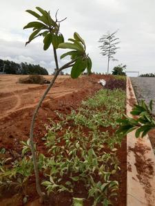 Project Image of 1200.0 - 3999.0 Sq.ft Residential Plot Plot for buy in Excel Oxygen