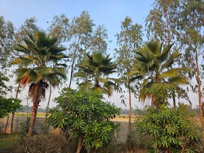 Project Image of 7500.0 - 10000.0 Sq.ft Residential Plot Plot for buy in Swaraj The Villagio