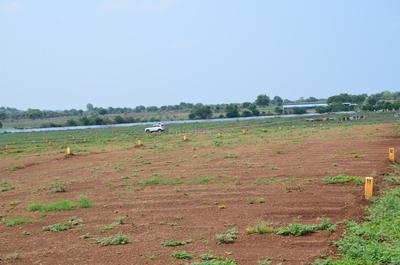 Project Image of 1326.65 - 12368.27 Sq.ft Residential Plot Plot for buy in Navya Green Fields