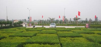 Project Image of 1076.0 - 5382.0 Sq.ft Residential Plot Plot for buy in Ansal Palm County