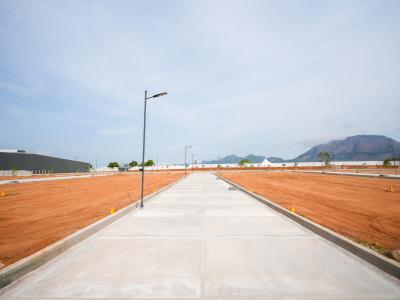 Project Image of 673.0 - 3831.0 Sq.ft Residential Plot Plot for buy in Temple View