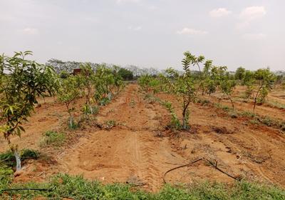 Project Image of 1350.0 - 2700.0 Sq.ft Residential Plot Plot for buy in Vision Siri Vanam