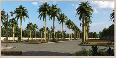 Legacy Terreno Internal Roads & Footpaths 1