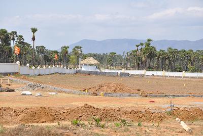 Project Image of 540.03 - 3635.94 Sq.ft Residential Plot Plot for buy in Sunrise Sai Vanam