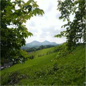 Project Image of 1200.0 - 2400.0 Sq.ft Residential Plot Plot for buy in Esteem Misty Hills