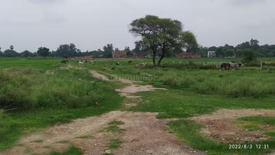 Project Image of 1000.0 - 2000.0 Sq.ft Residential Plot Plot for buy in Shiv Vatika