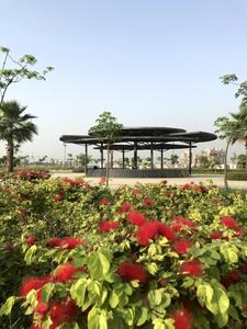 Project Image of 1734 Sq.ft 3 BHK Apartment / Flat for sale in Gomti Nagar for Rs. 23000000