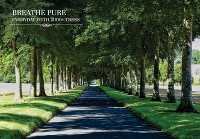 Project Image of 1062.61 - 4203.09 Sq.ft Residential Plot Plot for buy in Ahad Hills