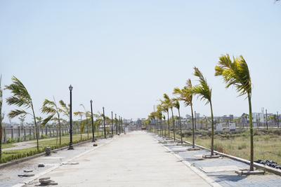 Project Image of 900.0 - 1200.0 Sq.ft Residential Plot Plot for buy in VKG Devbhumi