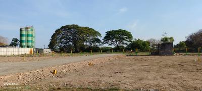 Project Image of 691.0 - 1767.0 Sq.ft Residential Plot Plot for buy in Madras Shri Madhuri Nagar