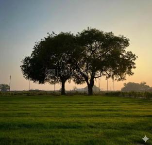 Project Image of 1076.39 - 1614.59 Sq.ft Residential Plot Plot for buy in Navsheel Jyoti Greens Phase 2