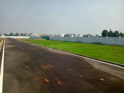 Project Image of 750.0 - 1600.0 Sq.ft Residential Plot Plot for buy in Daisy Park