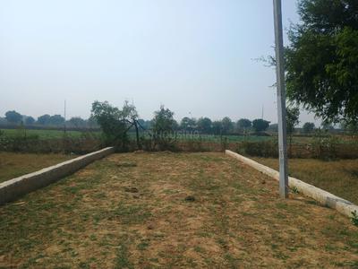 Project Image of 900 Sq.ft Residential Plot / Land for sale in Sheorajpur for Rs. 3200000
