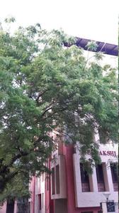 Project Image of 0.0 - 1050.0 Sq.ft 2 BHK Apartment for buy in Lancor Meenakshi