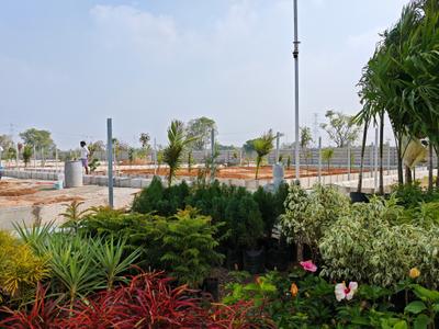 Project Image of 0.0 - 5445.0 Sq.ft Residential Plot Plot for buy in Tado Chandanam