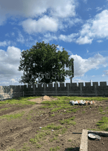 Project Image of 390.3 - 1362.07 Sq.ft Residential Plot Plot for buy in Solanki NK City