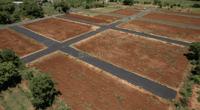 Project Images