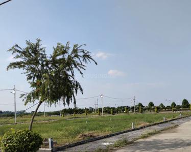 Project Image of 750.0 - 1800.0 Sq.ft Residential Plot Plot for buy in Godha Estate