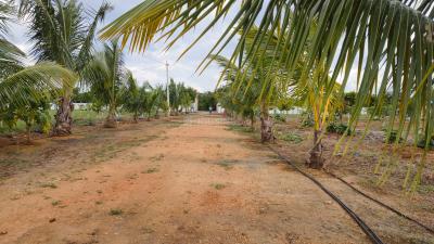 Project Image of 1089.0 - 5445.0 Sq.ft Residential Plot Plot for buy in Fortune Samskruthi Farms