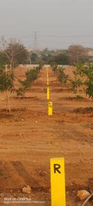 Project Image of 1350.0 - 2700.0 Sq.ft Residential Plot Plot for buy in Arising Peacock Valley