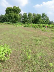 Project Image of 1200.0 - 1925.0 Sq.ft Residential Plot Plot for buy in Redbrick Empire